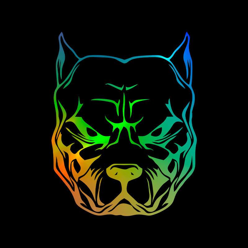Motorcycle Sticker dog pattern - Motorcycle Gear For Dogs ulasan dan harga
