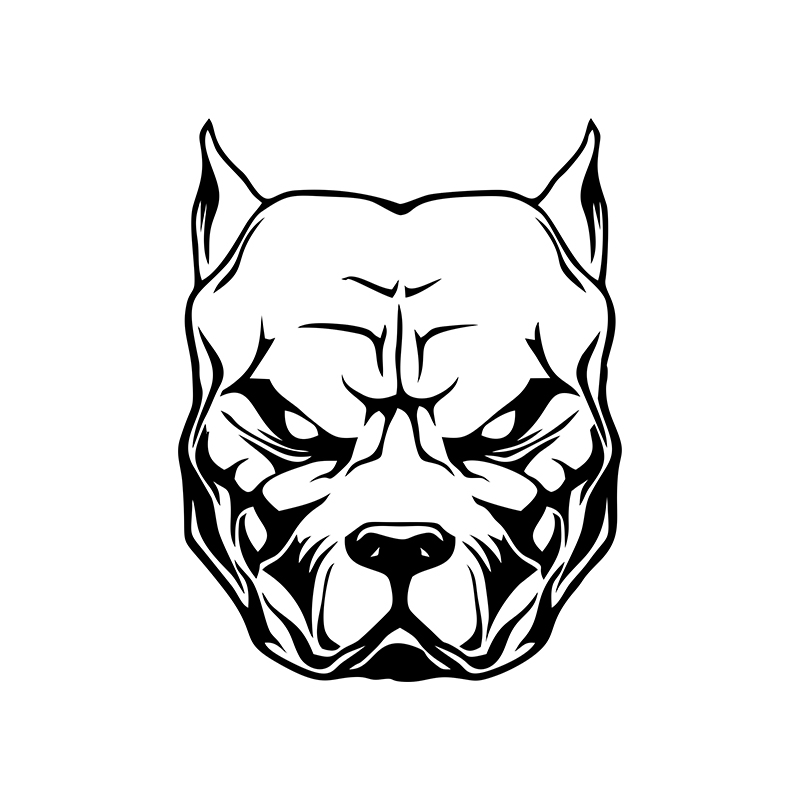Motorcycle Sticker dog pattern - Motorcycle Gear For Dogs ulasan dan harga