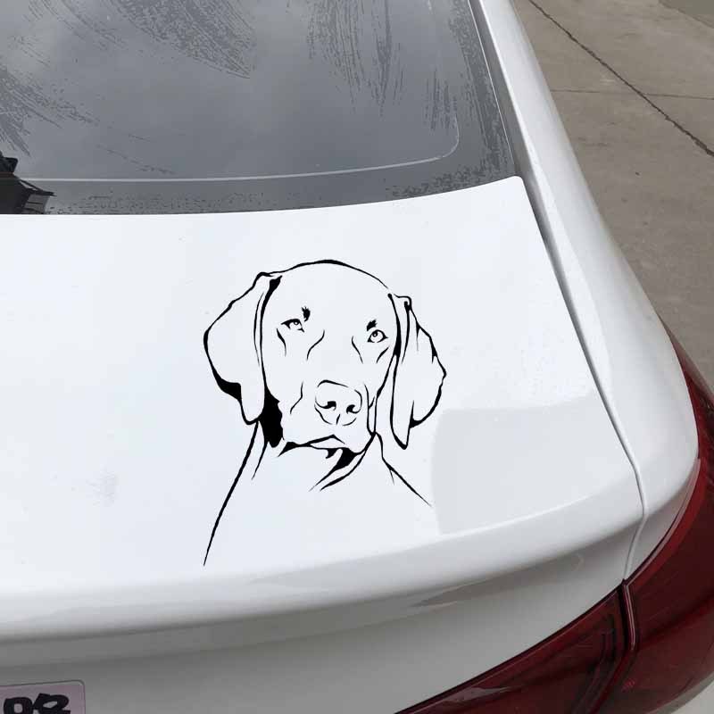 Weimaraner Dog Outline Waterpr - Motorcycle Gear For Dogs ulasan dan harga