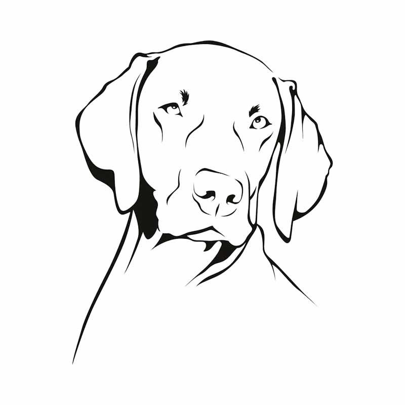 Weimaraner Dog Outline Waterpr - Motorcycle Gear For Dogs ulasan dan harga