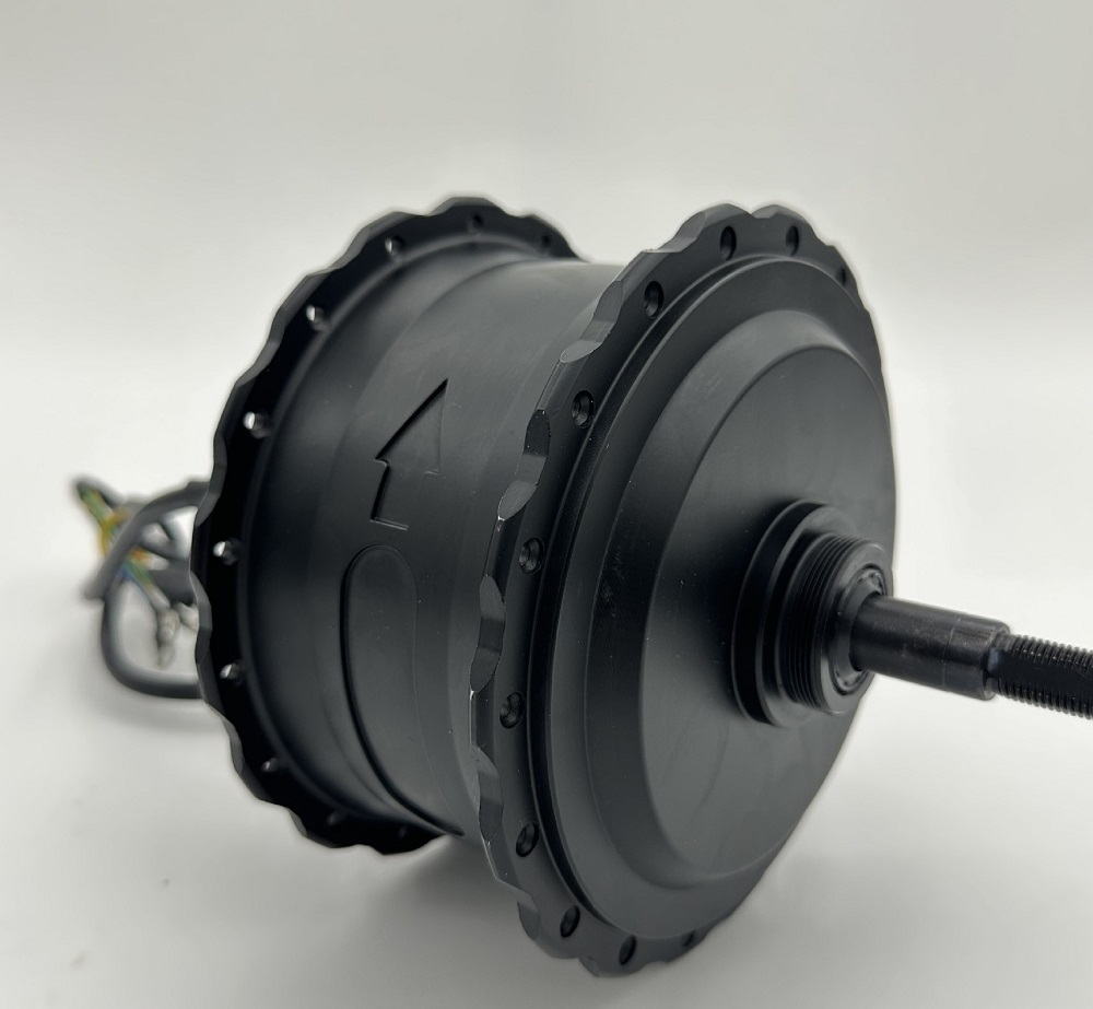 1000W 48V/60V High-power Brush - Motorcycle Gear Hub ulasan dan harga