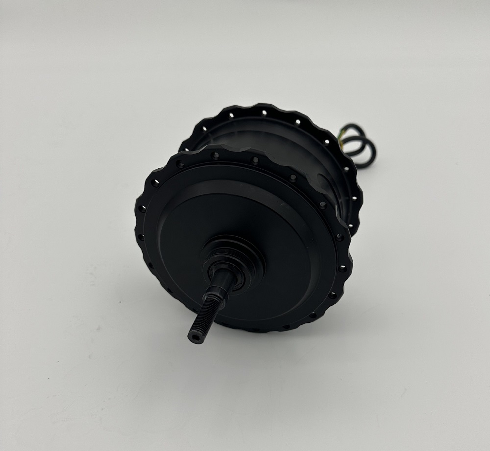 1000W 48V/60V High-power Brush - Motorcycle Gear Hub ulasan dan harga