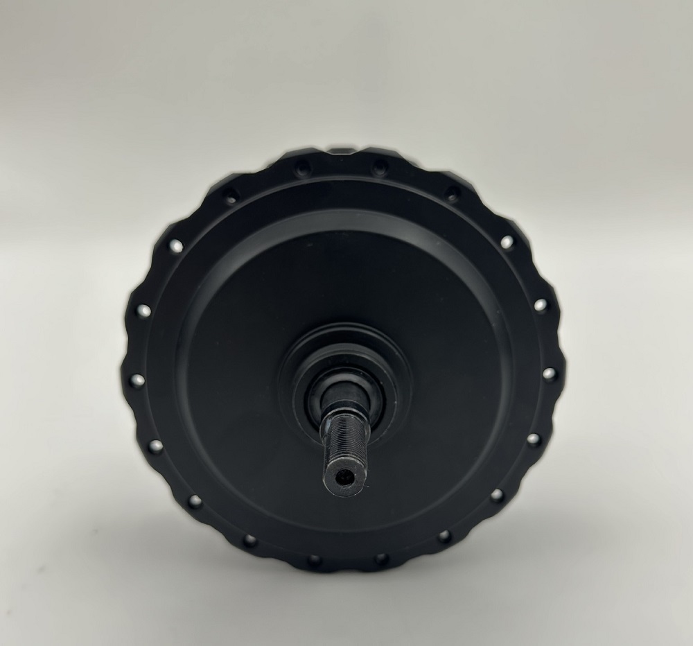 1000W 48V/60V High-power Brush - Motorcycle Gear Hub ulasan dan harga