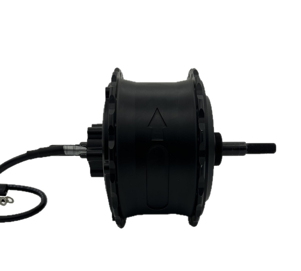 1000W 48V/60V High-power Brush - Motorcycle Gear Hub ulasan dan harga