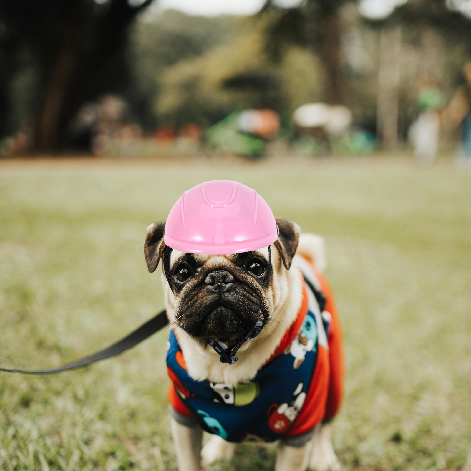 Small Dog Adjustable Pet Safet - Motorcycle Gear For Dogs ulasan dan harga