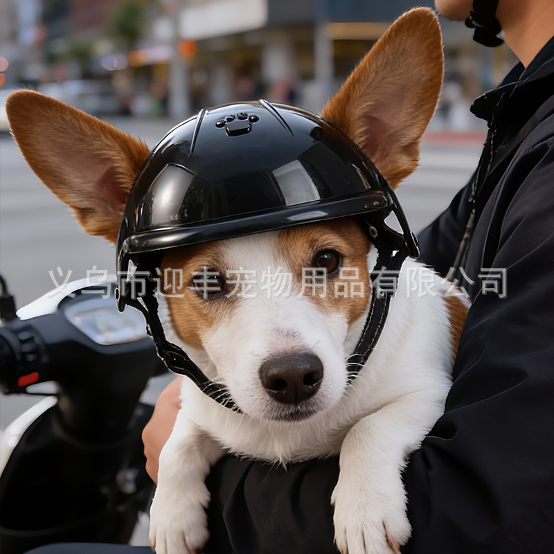 Pink Motorcycle Pet Helmet wit - Motorcycle Gear For Dogs ulasan dan harga