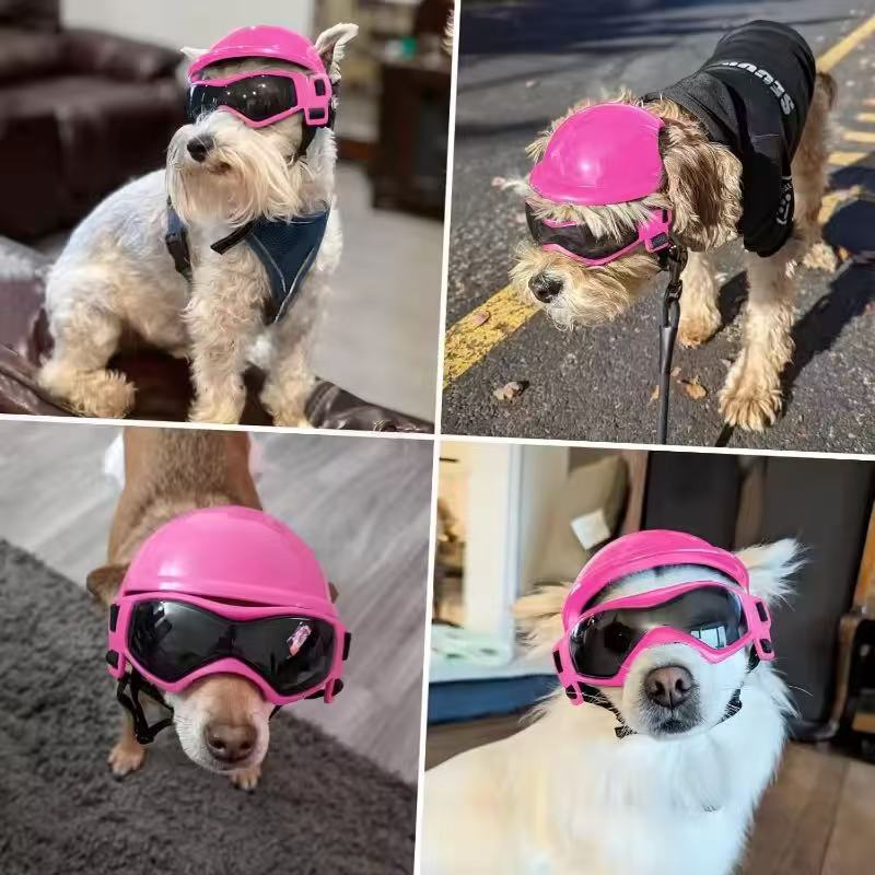 Dog Motorcycle Helmet Goggles  - Motorcycle Gear For Dogs ulasan dan harga