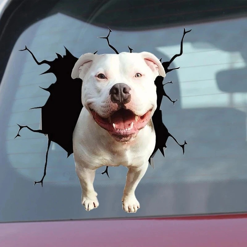 1Pc  French Bulldog Dog Sticke - Motorcycle Gear For Dogs ulasan dan harga