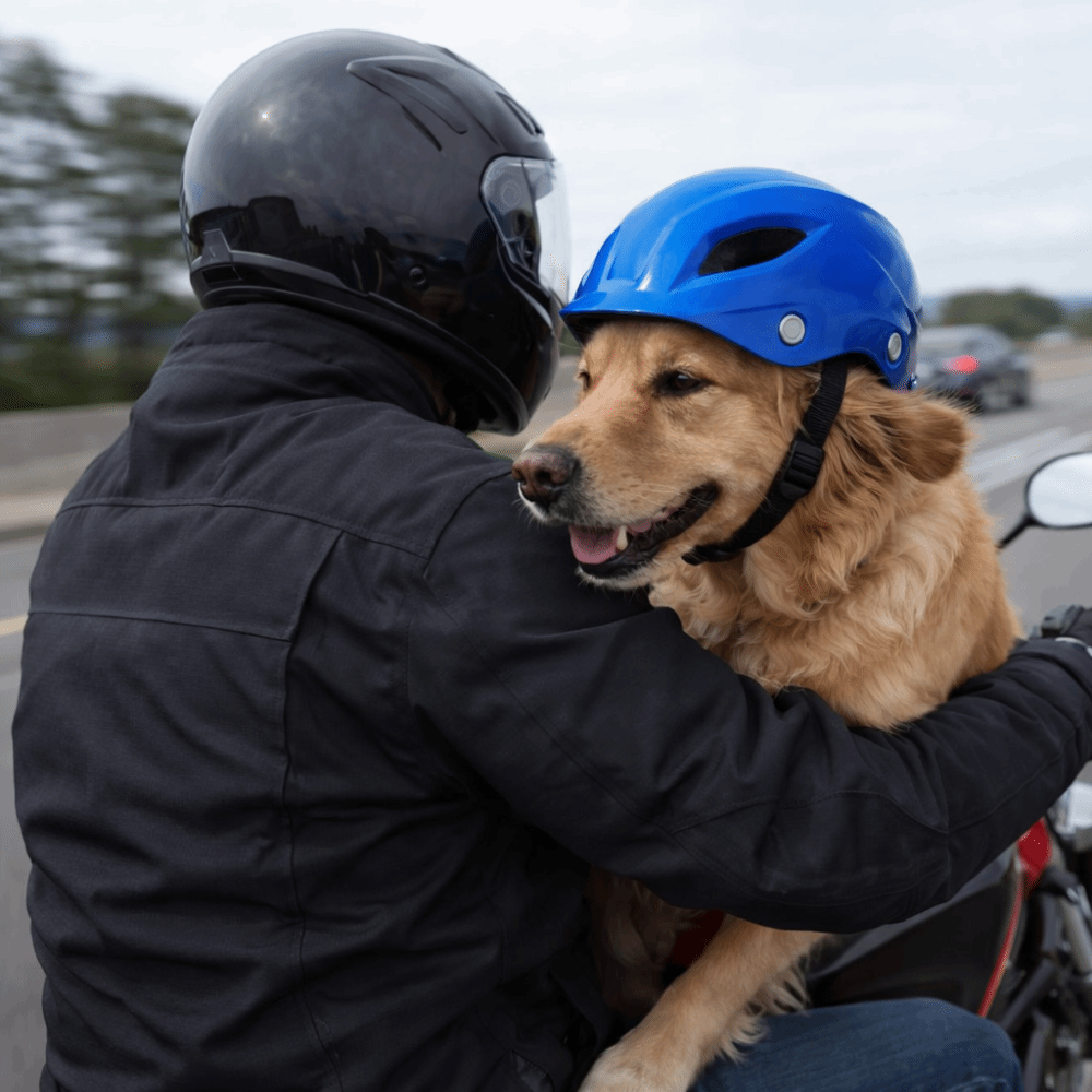 Pet Headgear Adjustable Dog He - Motorcycle Gear For Dogs ulasan dan harga